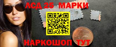 прущие грибы Апшеронск