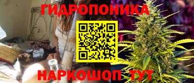 прущие грибы Апшеронск