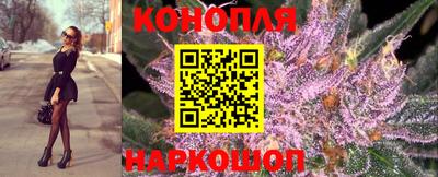 прущие грибы Апшеронск