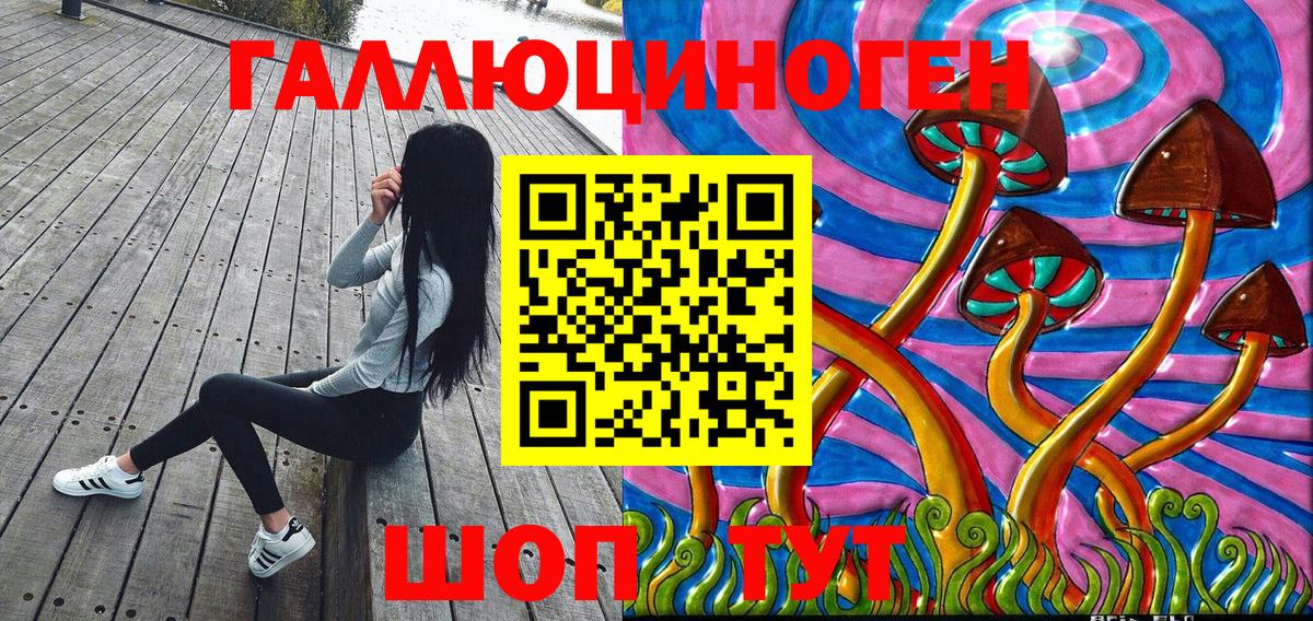 Амурск  Псилоцибиновые грибы мицелий  Вход с VPN 